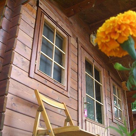 Onur Motel Faralya Fethiye Exterior photo